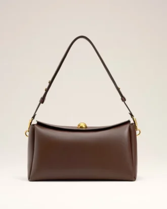 Brown Smooth Leather Carrousel Medium Bag